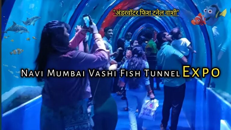 underwater fish tunnel vashi347734265387947942